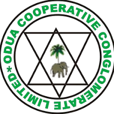 Logo 5