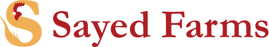 Logo 3